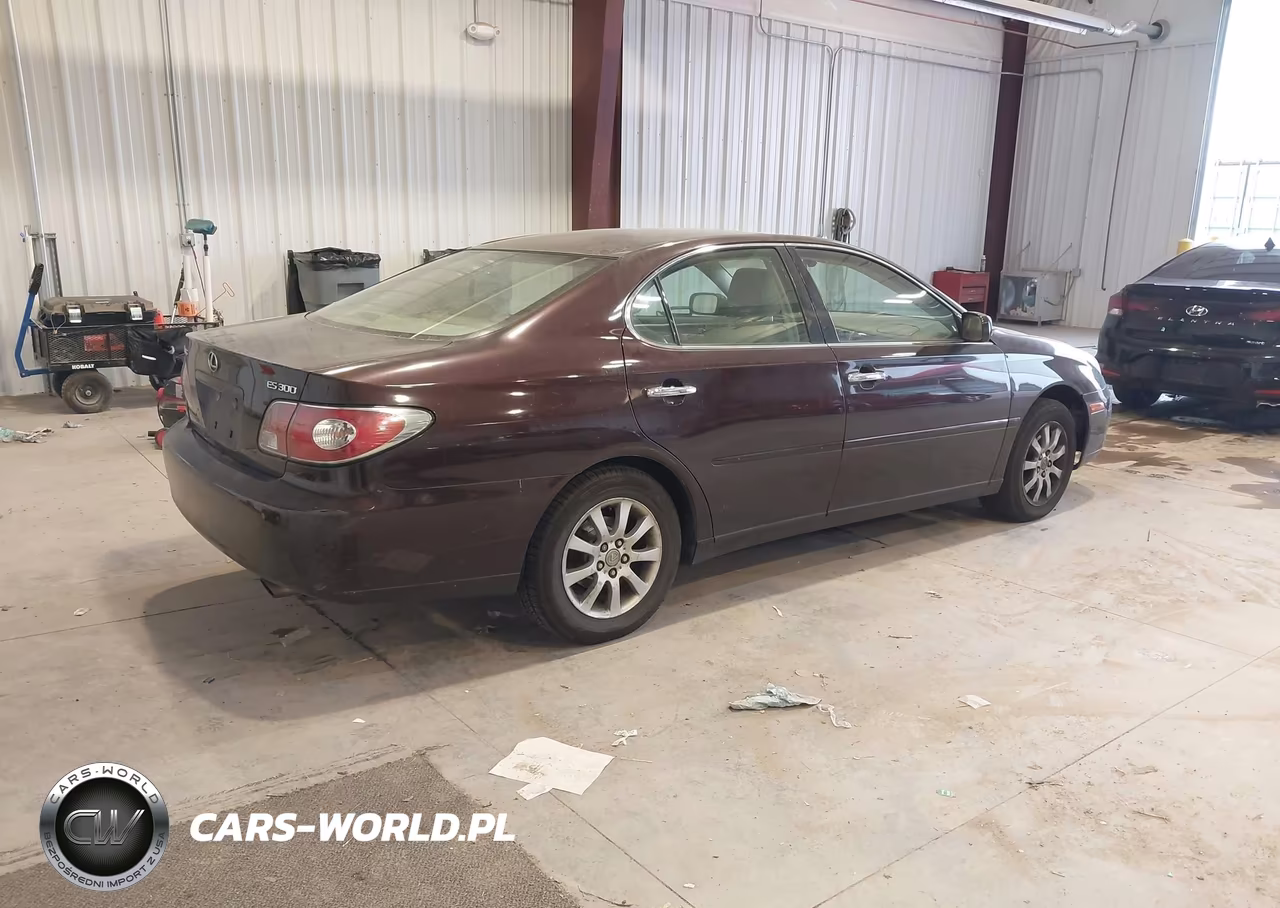 2003 Lexus Es 300 VIN:JTHBF30GX35042073 - 4