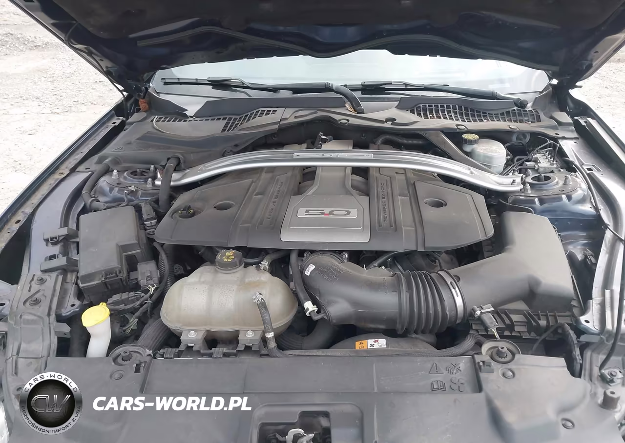 2018 Ford Mustang Gt Premium VIN:1FATP8FF0J5120264 - 10