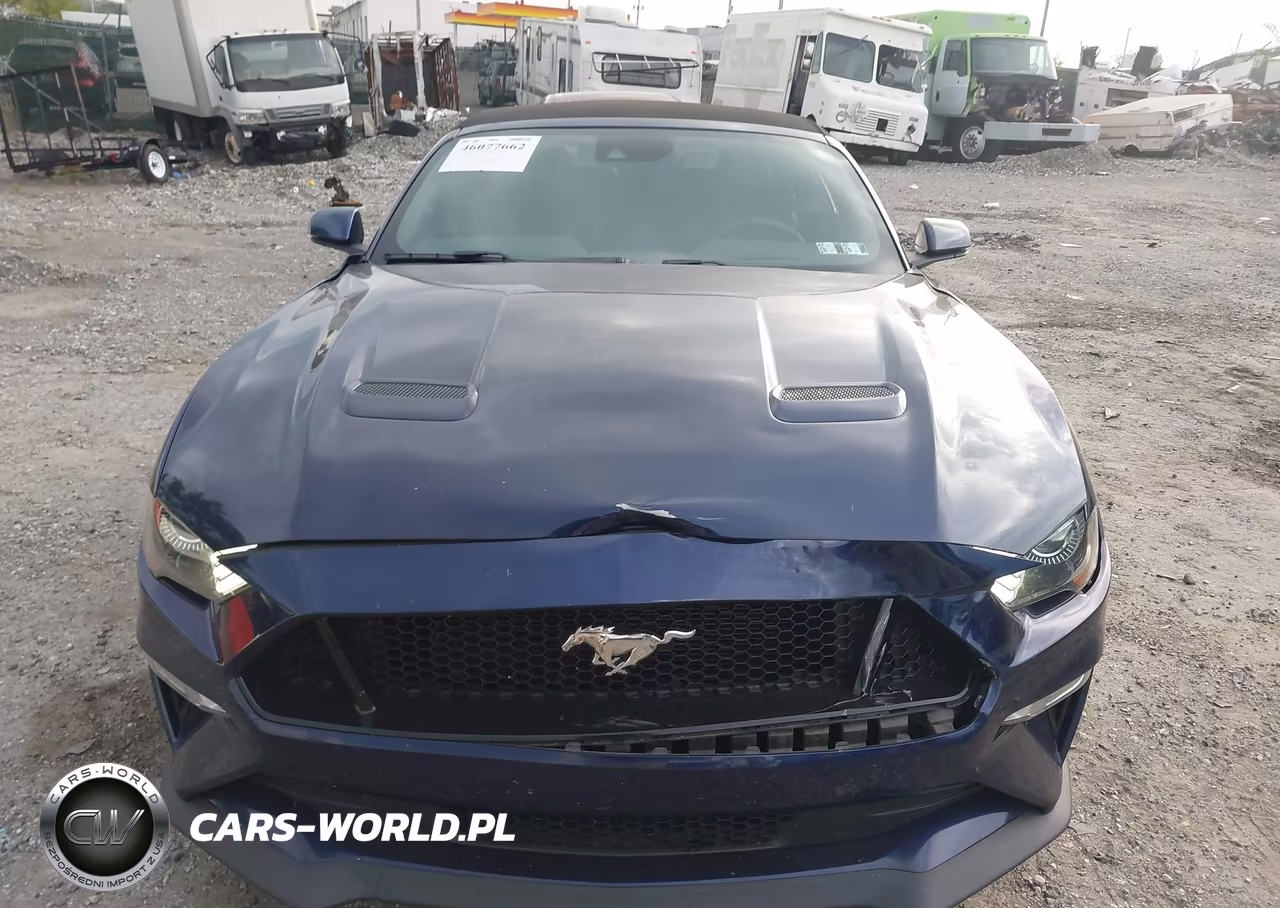 2018 Ford Mustang Gt Premium VIN:1FATP8FF0J5120264 - 12