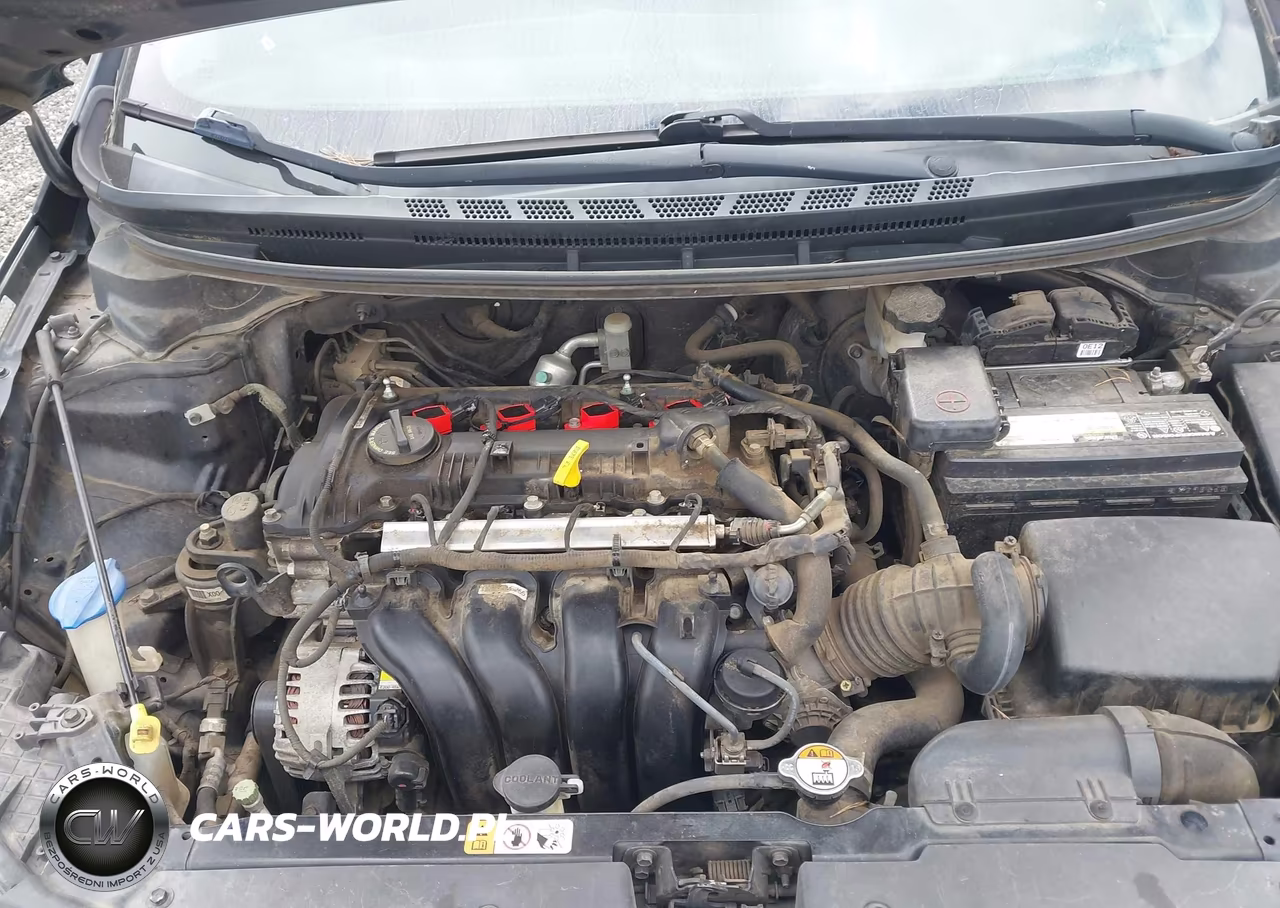 2016 Kia Forte Lx VIN:KNAFX4A6XG5526565 - 10