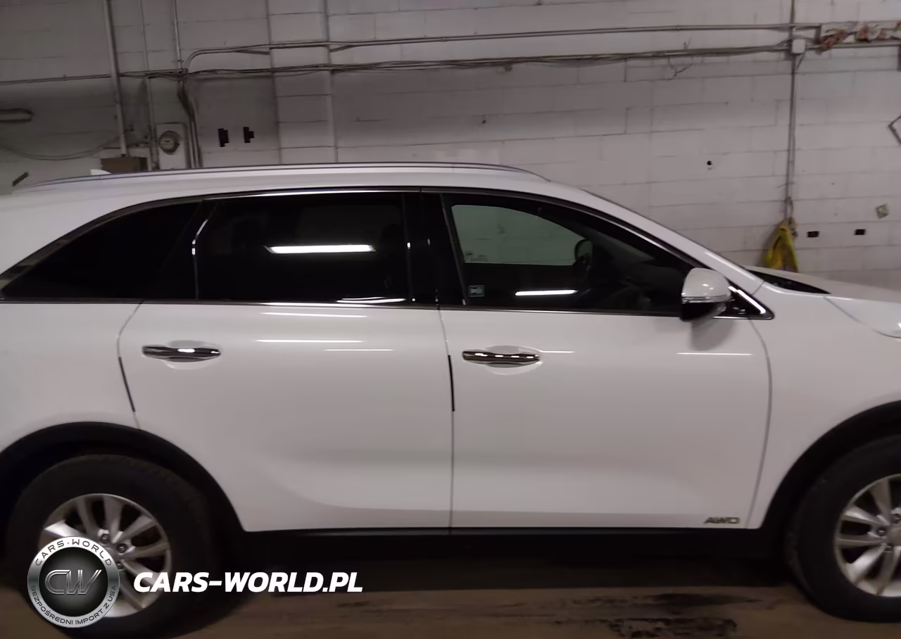 2016 Kia Sorento 2.4L Lx VIN:5XYPGDA34GG052634 - 13