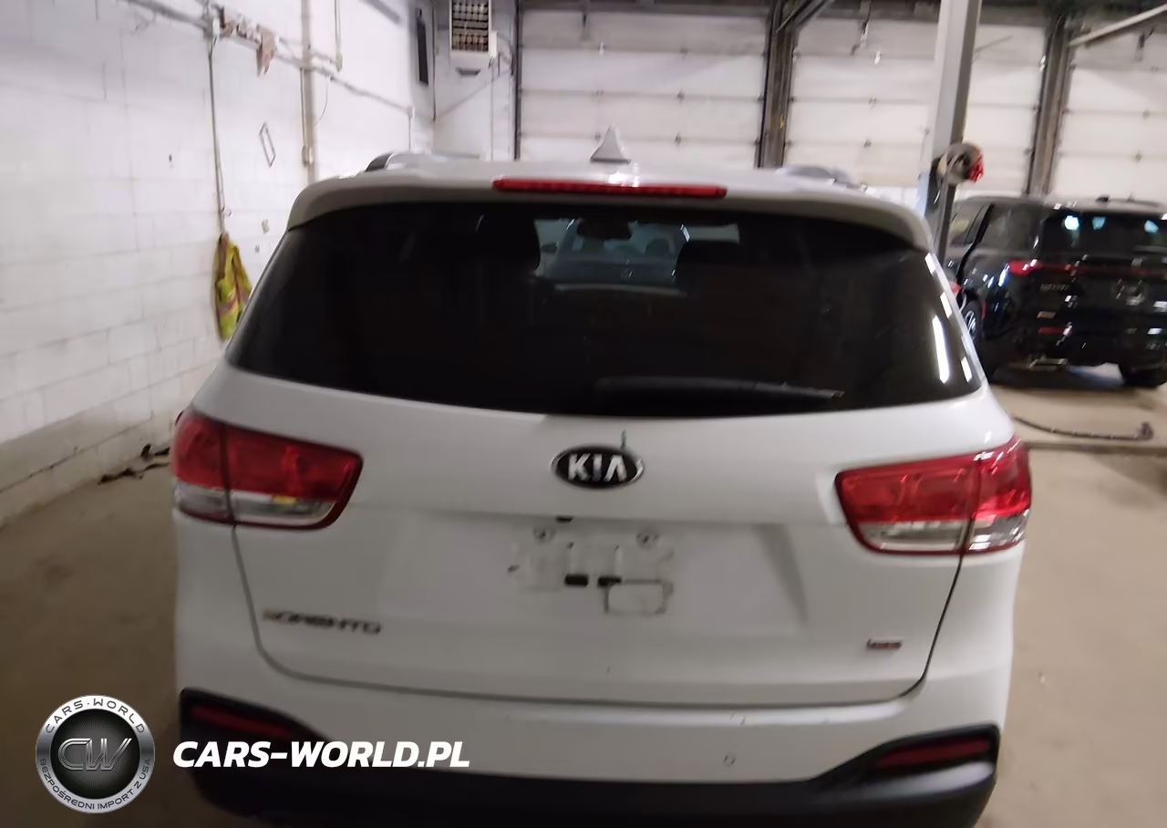 2016 Kia Sorento 2.4L Lx VIN:5XYPGDA34GG052634 - 16