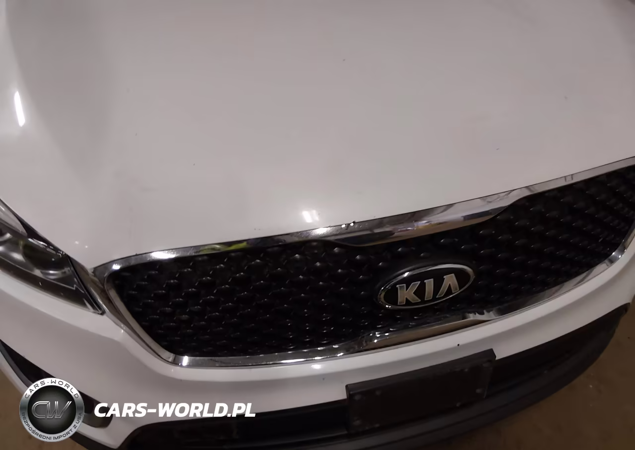 2016 Kia Sorento 2.4L Lx VIN:5XYPGDA34GG052634 - 6