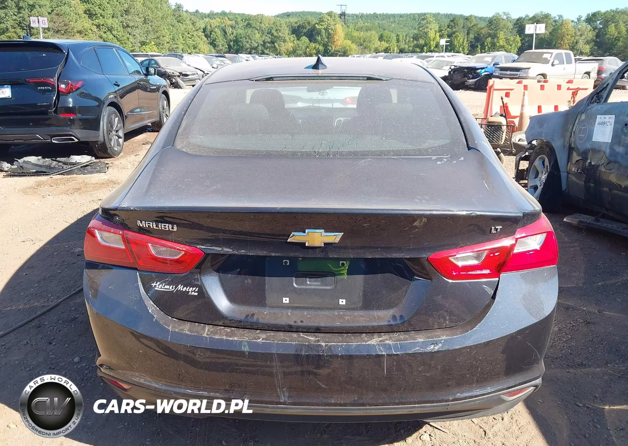 2023 Chevrolet Malibu Fwd 1Lt VIN:1G1ZD5ST3PF220104 - 17