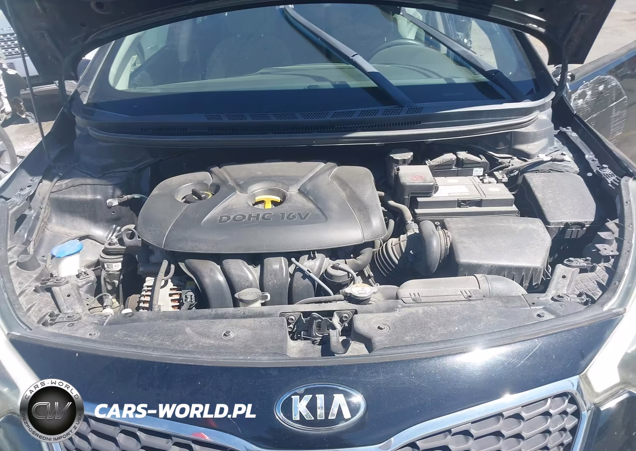 2014 Kia Forte Lx VIN:KNAFX4A69E5166038 - 10