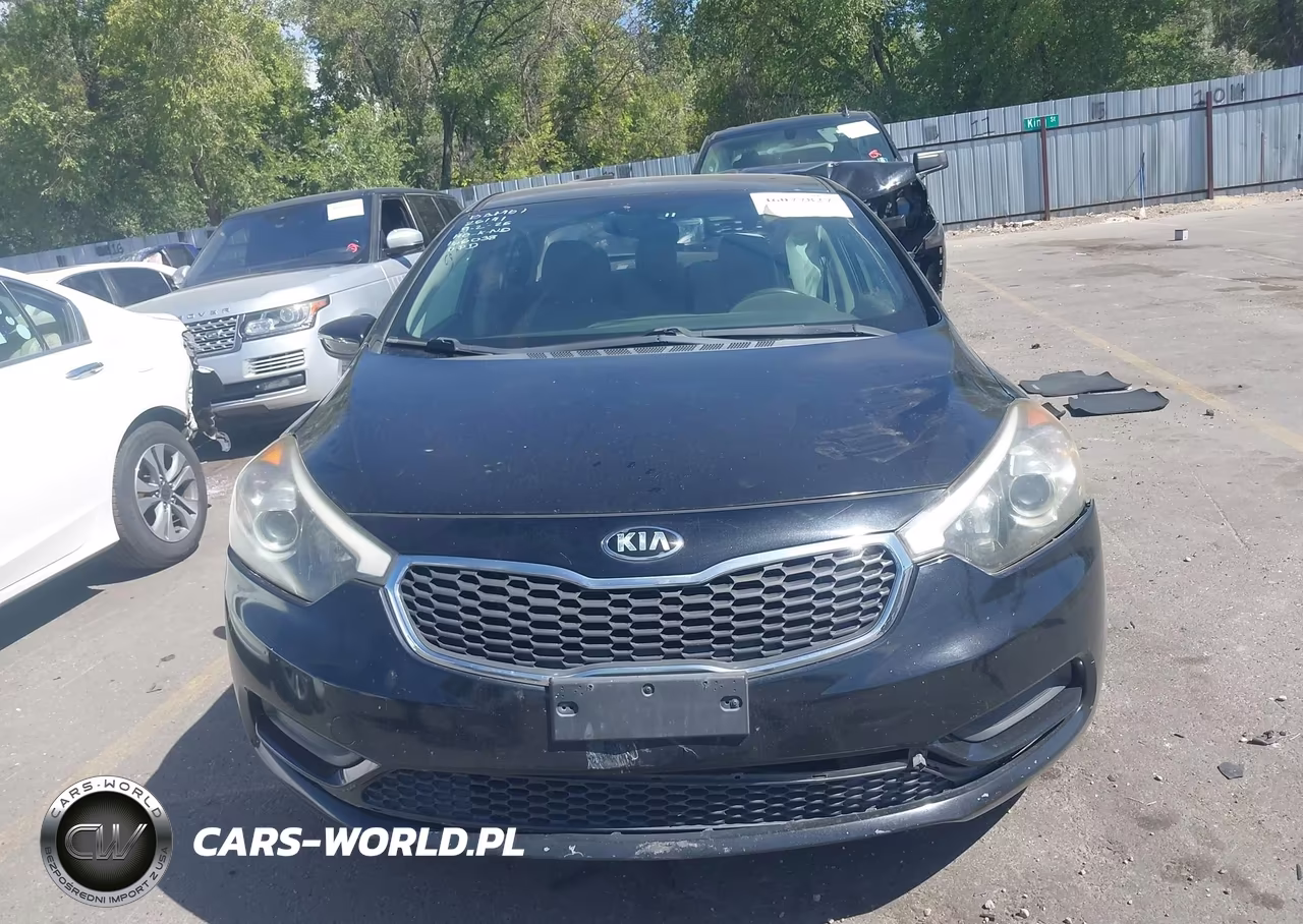 2014 Kia Forte Lx VIN:KNAFX4A69E5166038 - 13