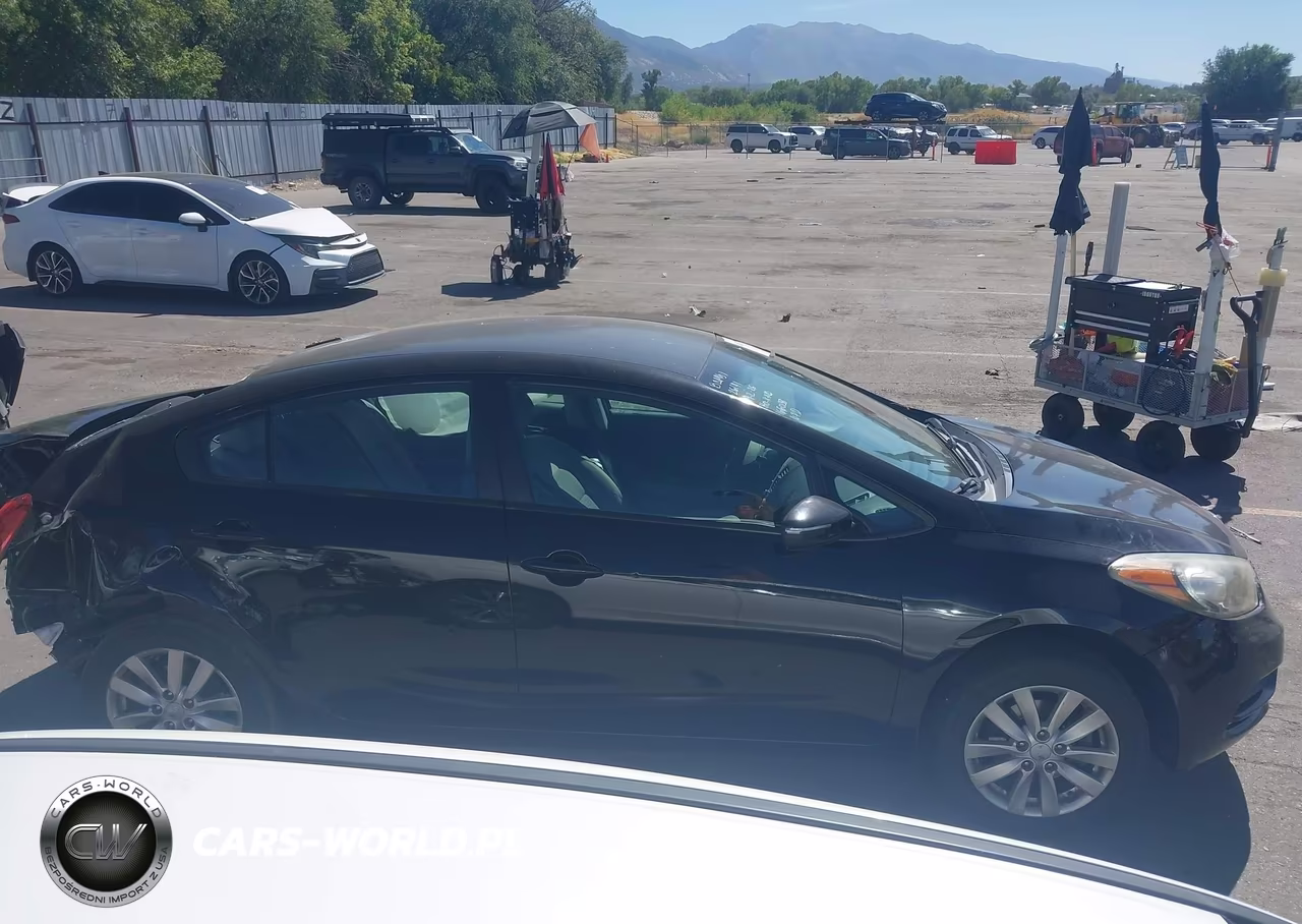 2014 Kia Forte Lx VIN:KNAFX4A69E5166038 - 14