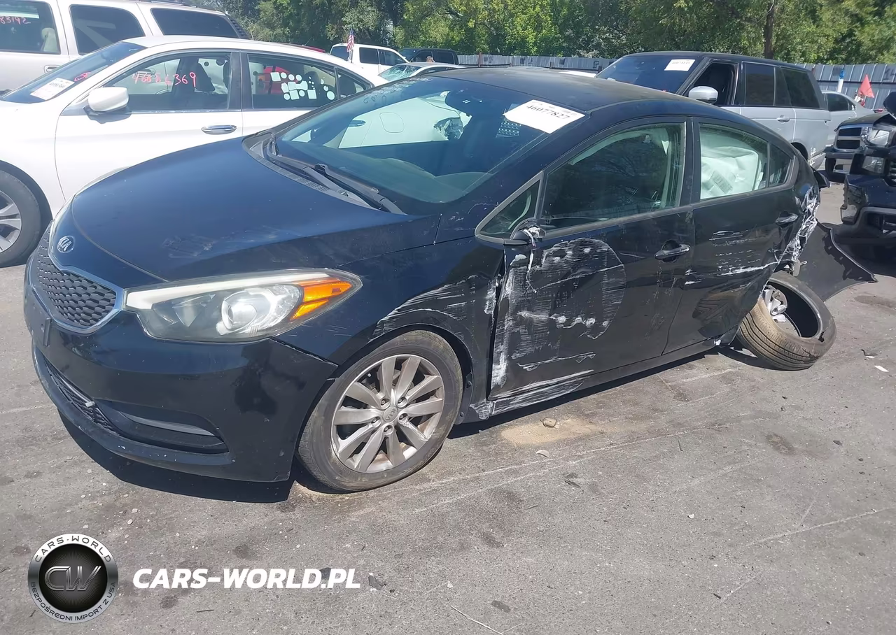 2014 Kia Forte Lx VIN:KNAFX4A69E5166038 - 2