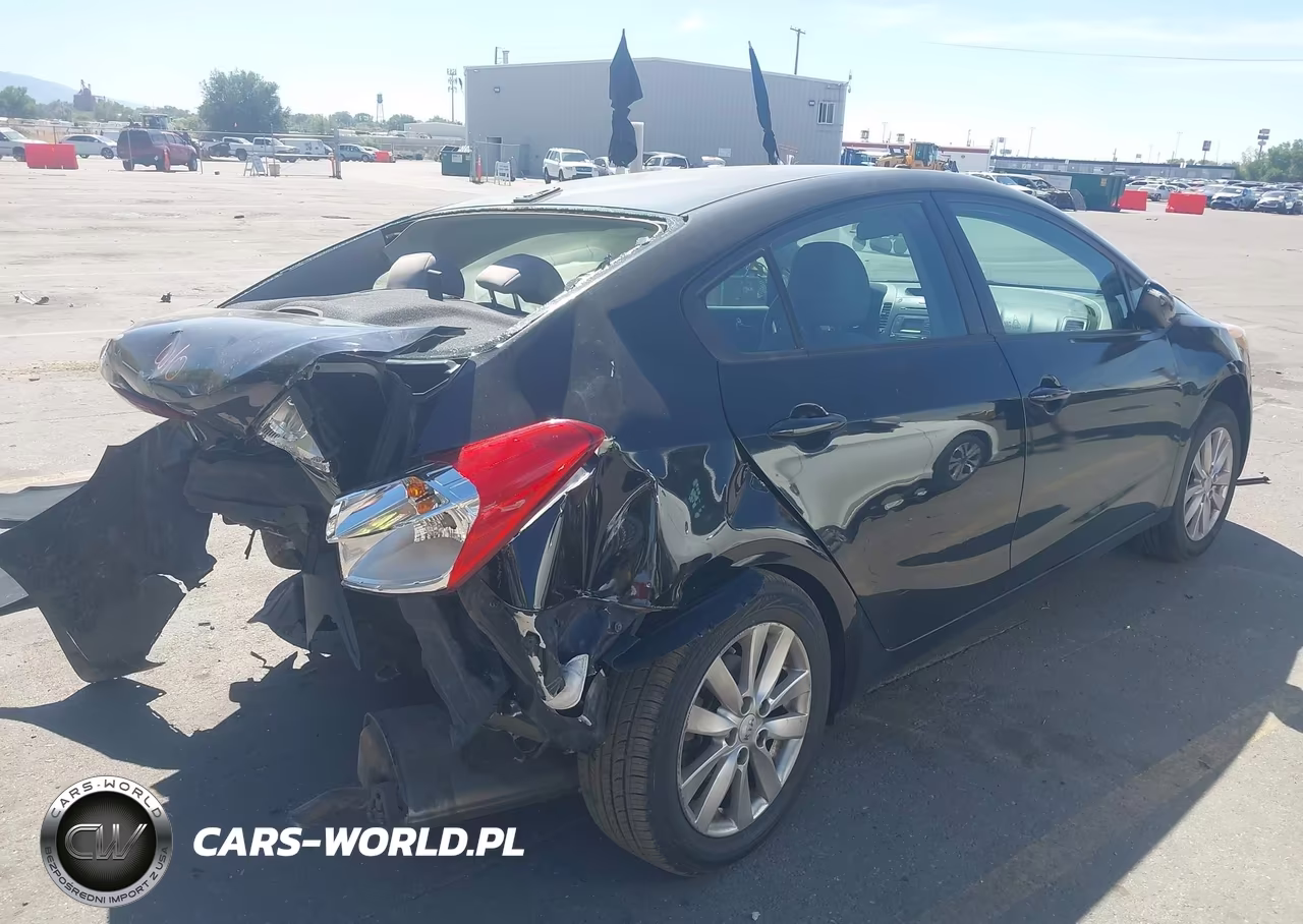 2014 Kia Forte Lx VIN:KNAFX4A69E5166038 - 4