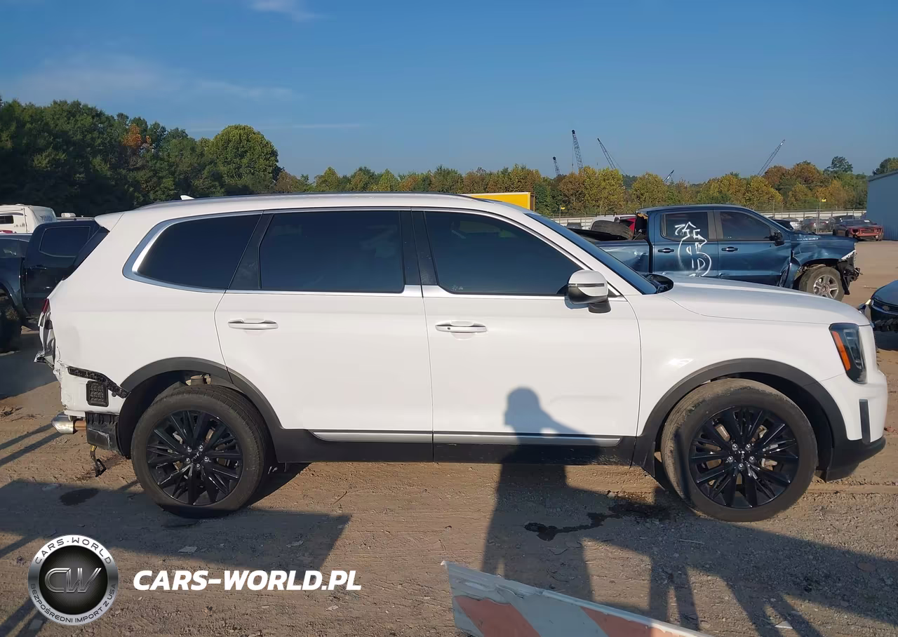 2022 Kia Telluride S VIN:5XYP6DHC7NG245706 - 13