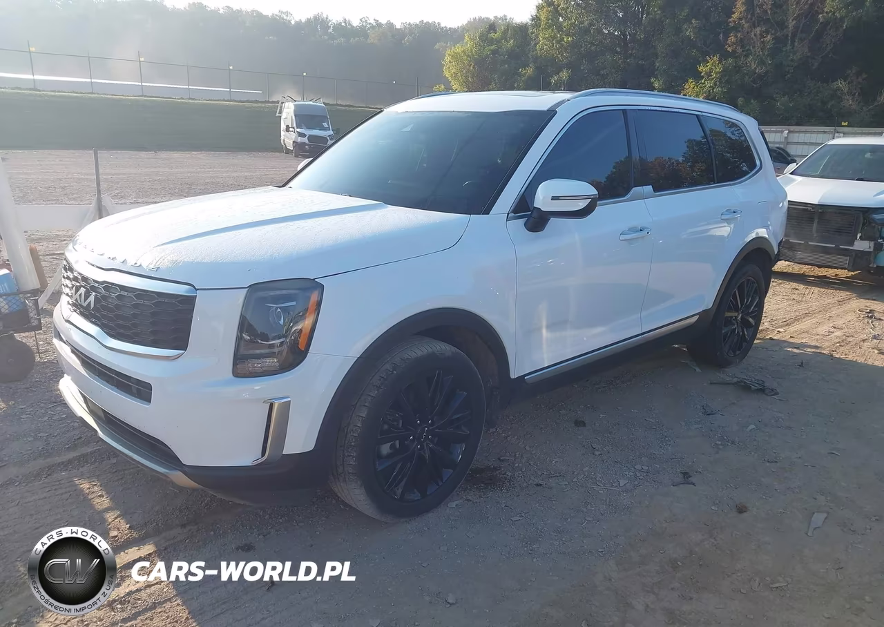 2022 Kia Telluride S VIN:5XYP6DHC7NG245706 - 2