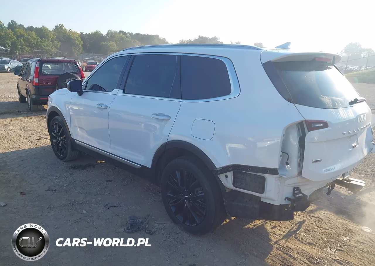2022 Kia Telluride S VIN:5XYP6DHC7NG245706 - 3