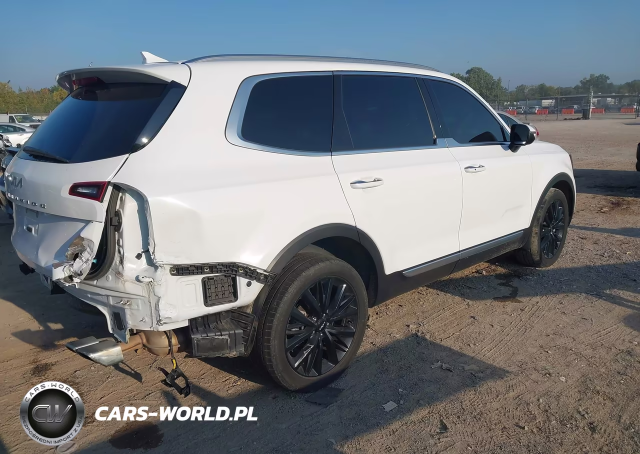 2022 Kia Telluride S VIN:5XYP6DHC7NG245706 - 4
