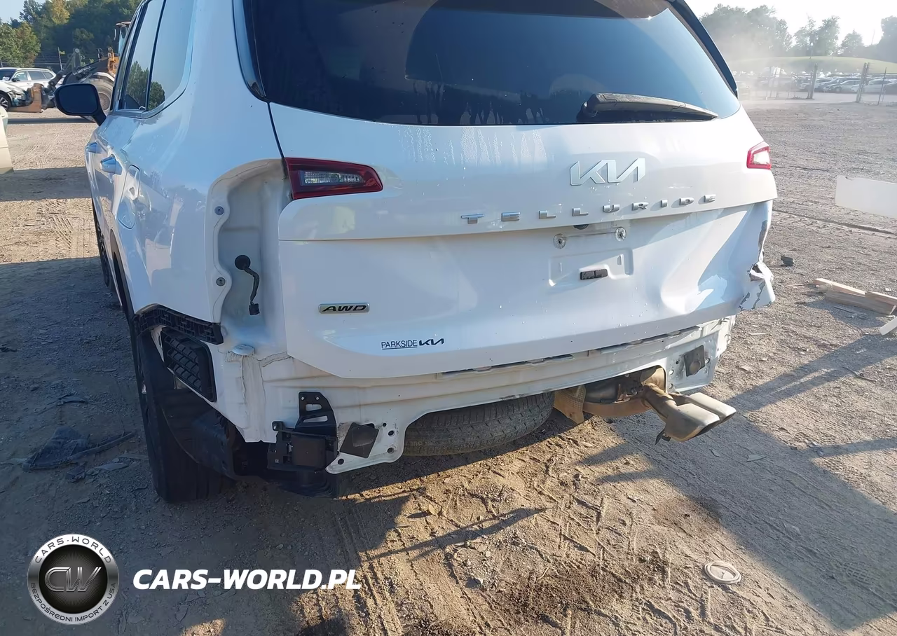 2022 Kia Telluride S VIN:5XYP6DHC7NG245706 - 6