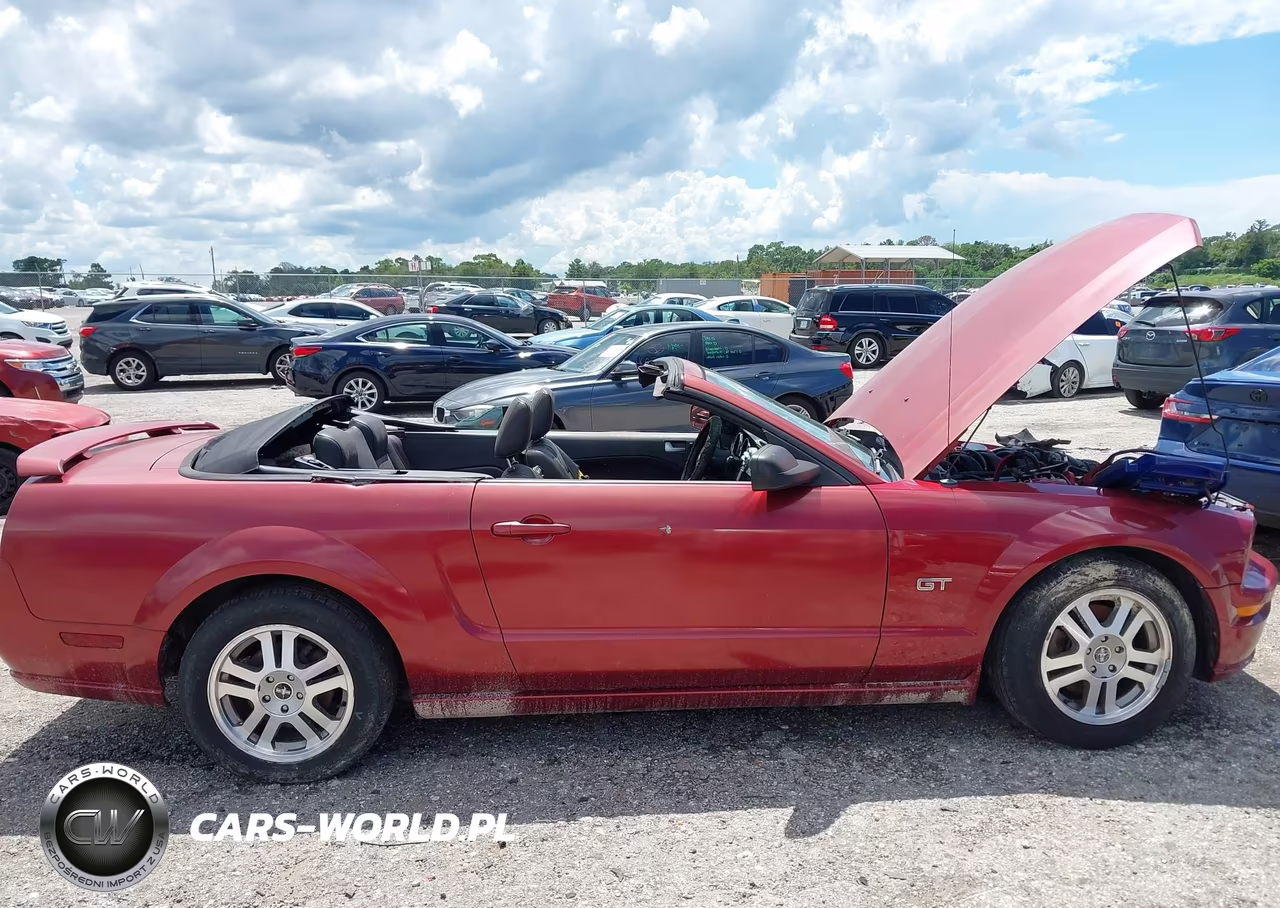 2006 Ford Mustang Gt VIN:1ZVFT85H065199364 - 14