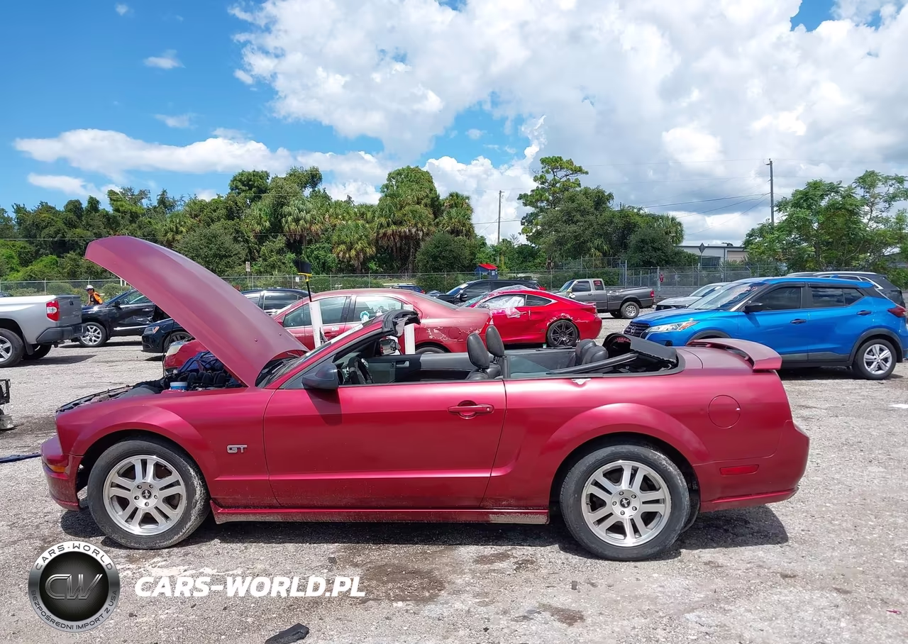 2006 Ford Mustang Gt VIN:1ZVFT85H065199364 - 15