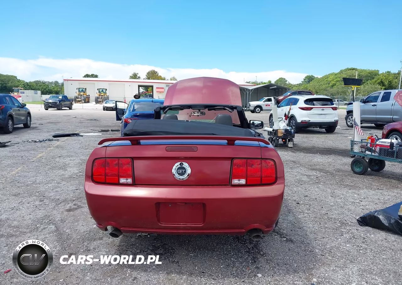 2006 Ford Mustang Gt VIN:1ZVFT85H065199364 - 17