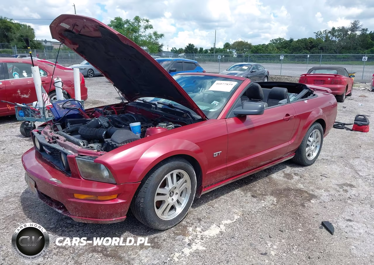 2006 Ford Mustang Gt VIN:1ZVFT85H065199364 - 2