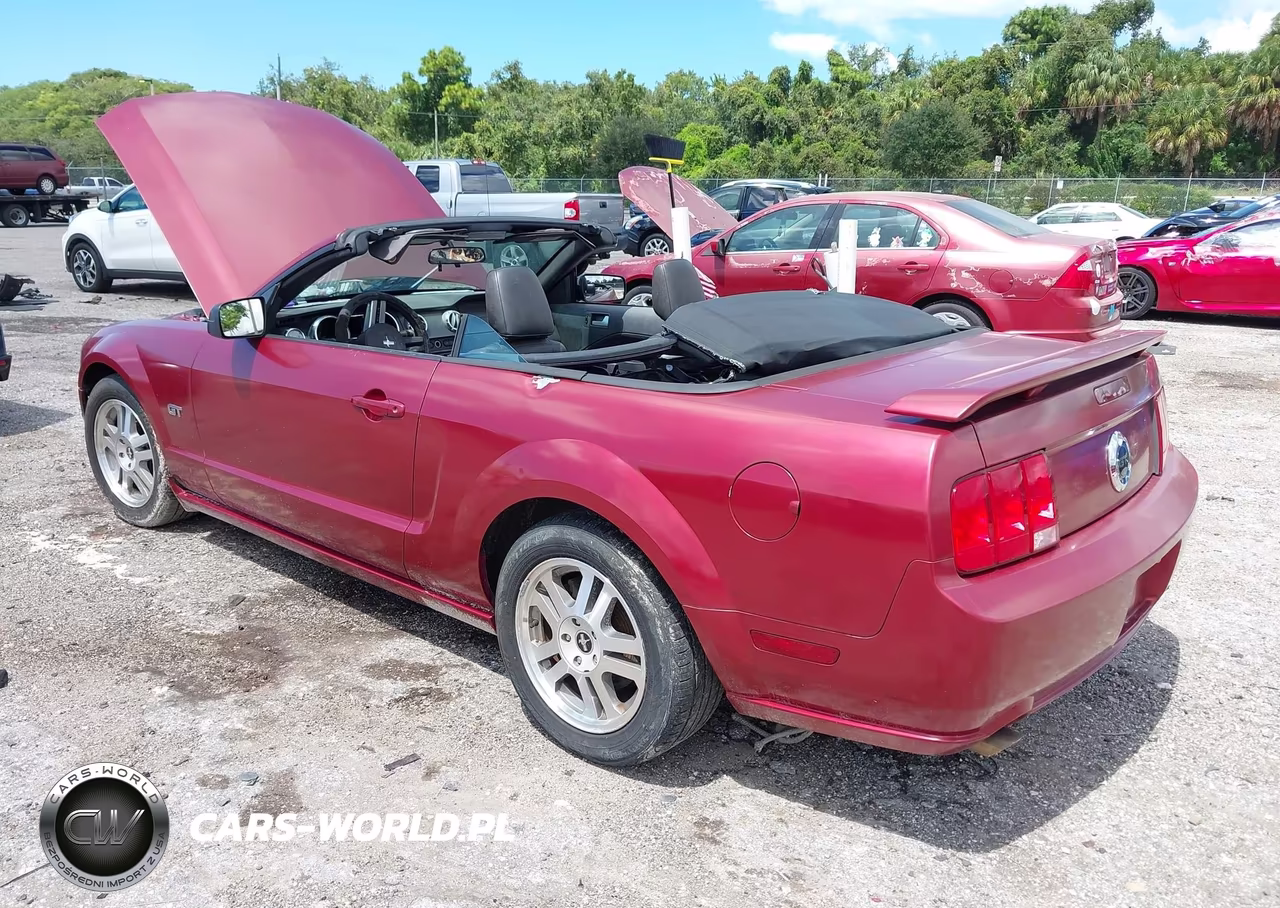 2006 Ford Mustang Gt VIN:1ZVFT85H065199364 - 3