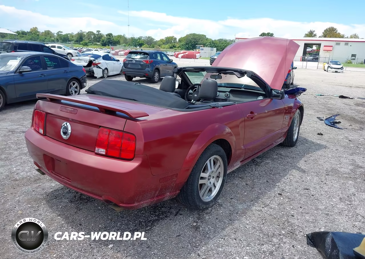 2006 Ford Mustang Gt VIN:1ZVFT85H065199364 - 4