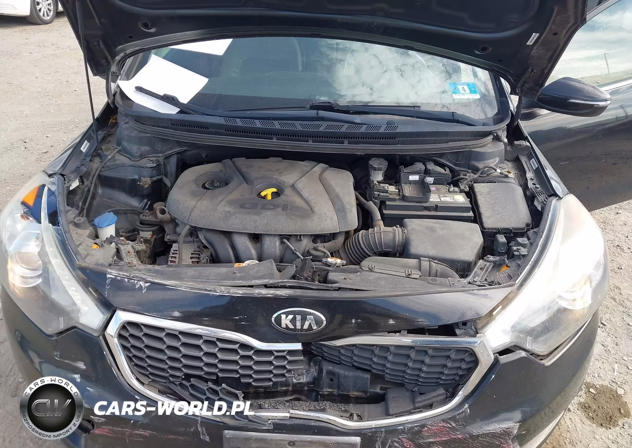 2014 Kia Forte Ex VIN:KNAFZ4A81E5197991 - 10