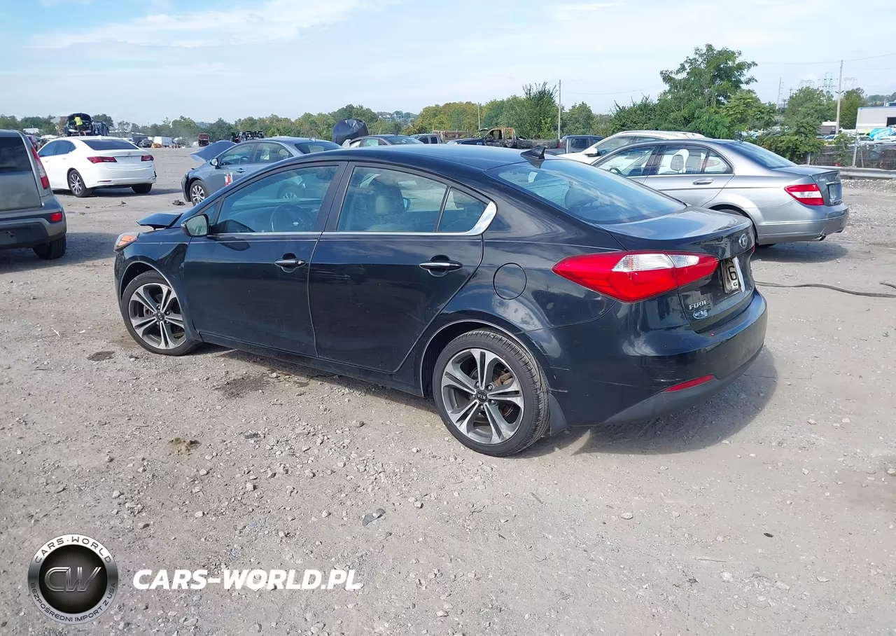 2014 Kia Forte Ex VIN:KNAFZ4A81E5197991 - 3