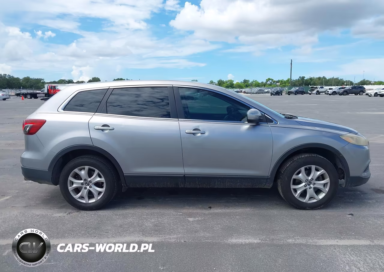 2013 Mazda Cx-9 Sport VIN:JM3TB2BA2D0407890 - 13