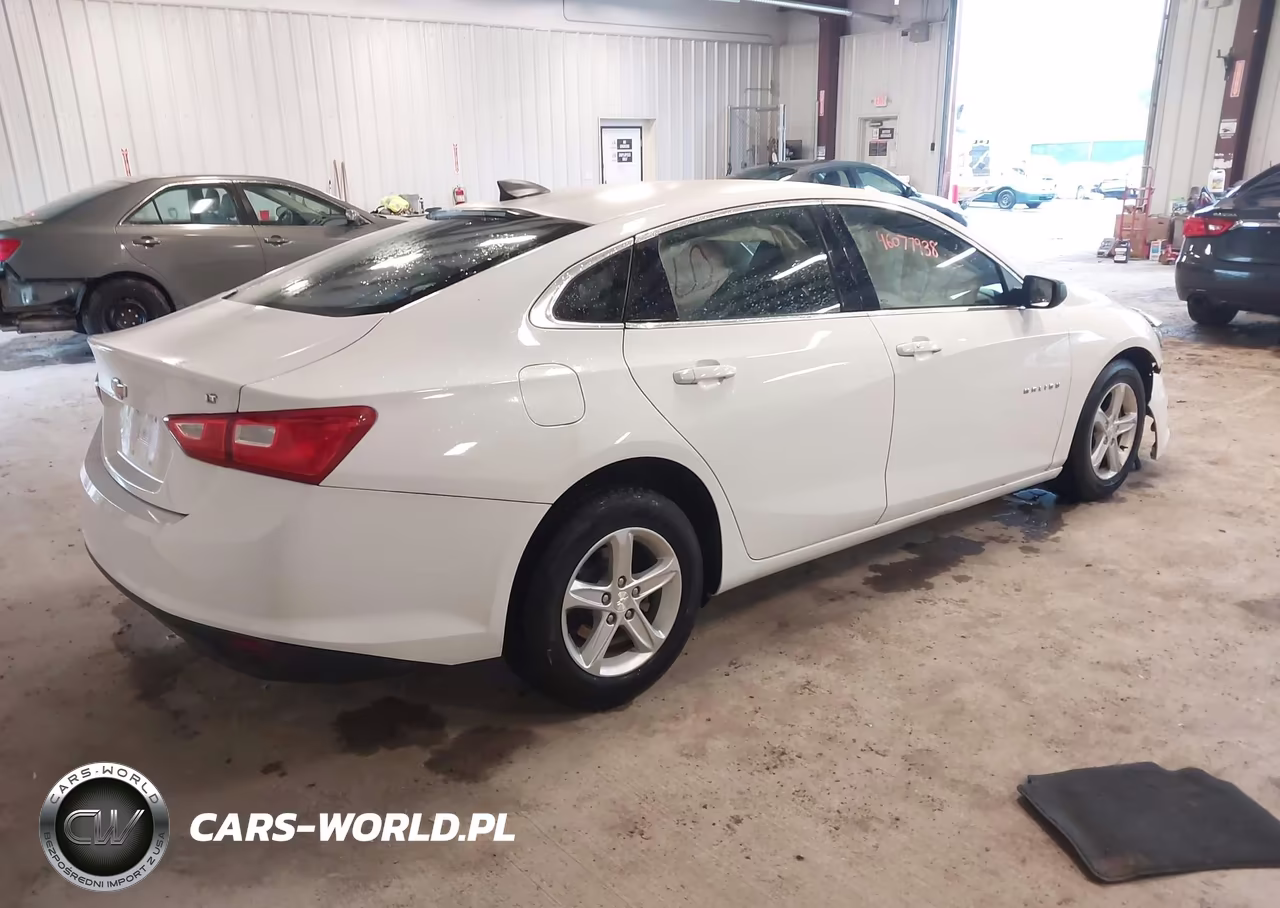 2020 Chevrolet Malibu Fwd Ls VIN:1G1ZB5ST7LF029124 - 4
