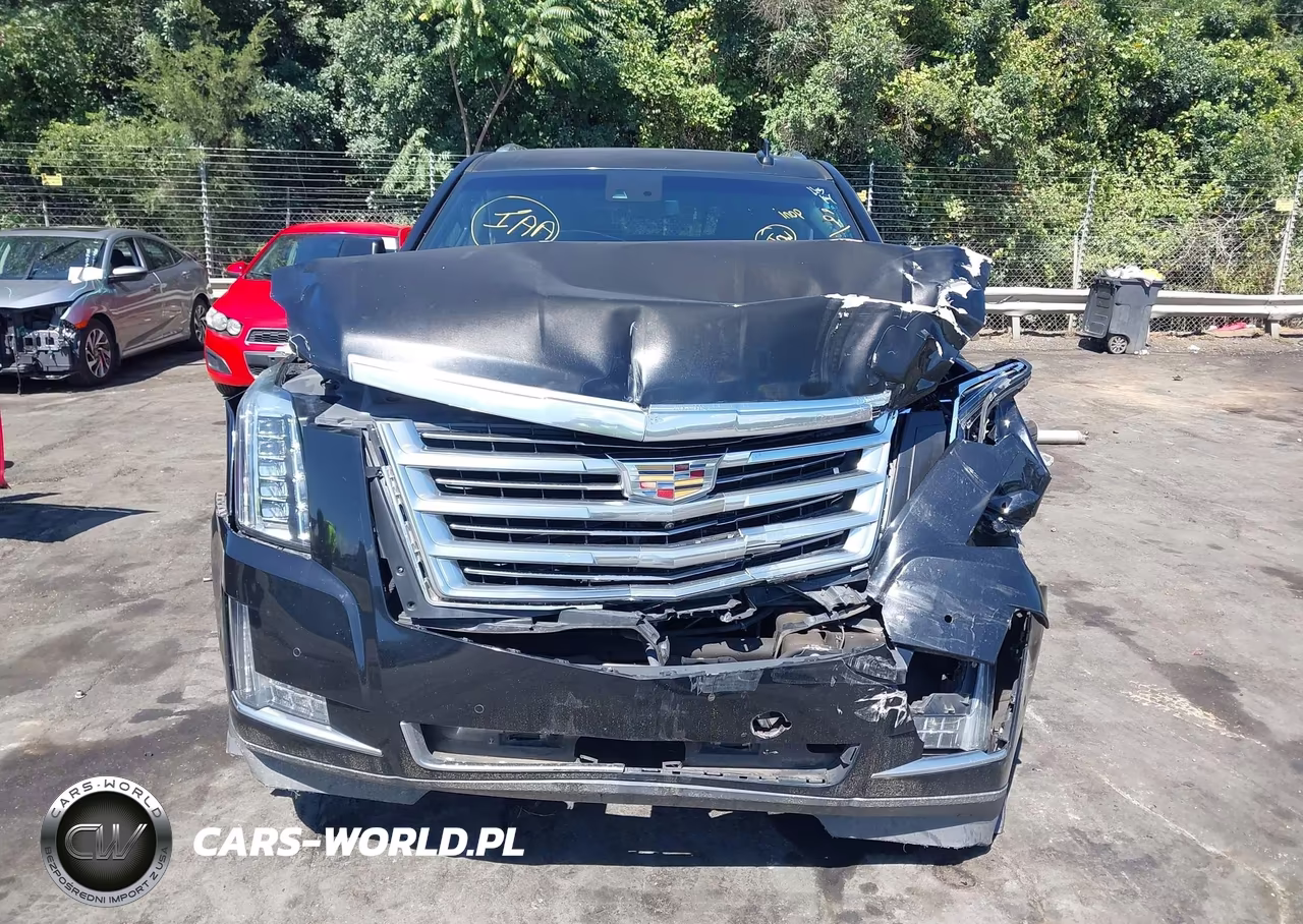 2017 Cadillac Escalade Esv Platinum VIN:1GYS4KKJXHR193242 - 12