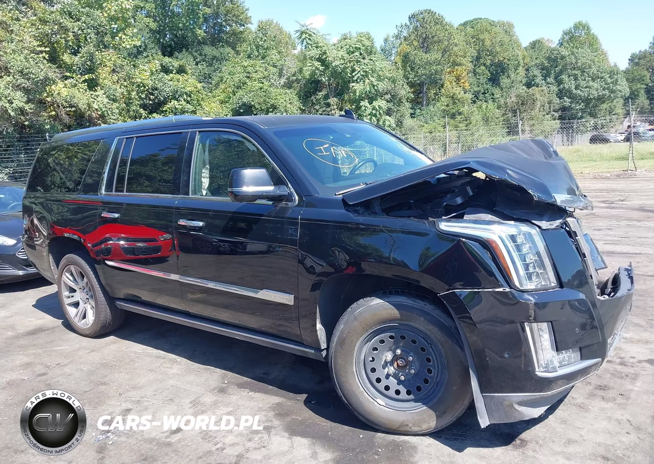 2017 Cadillac Escalade Esv Platinum VIN:1GYS4KKJXHR193242 - 13