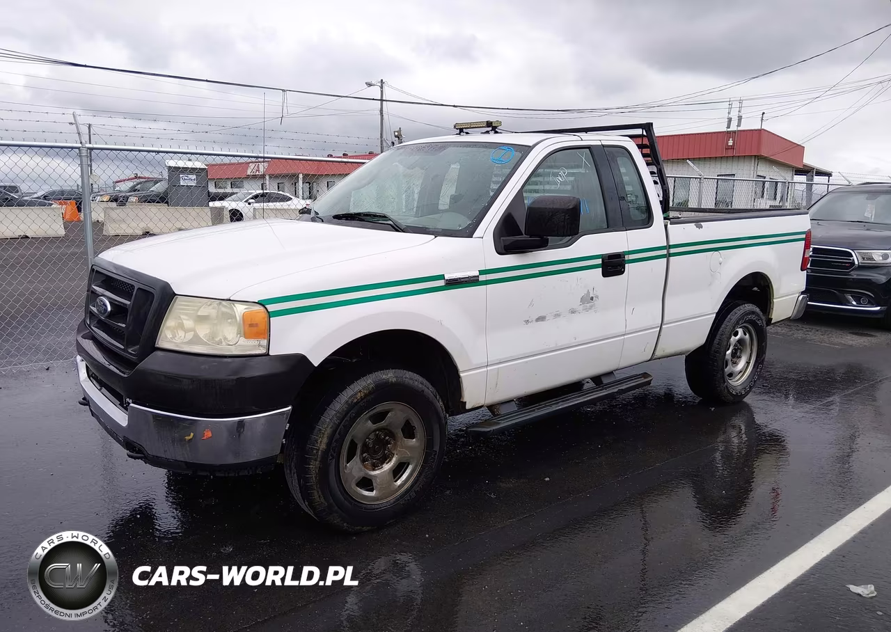 2005 Ford F-150 Stx-Xl-Xlt VIN:1FTRF14W35NB65397 - 2