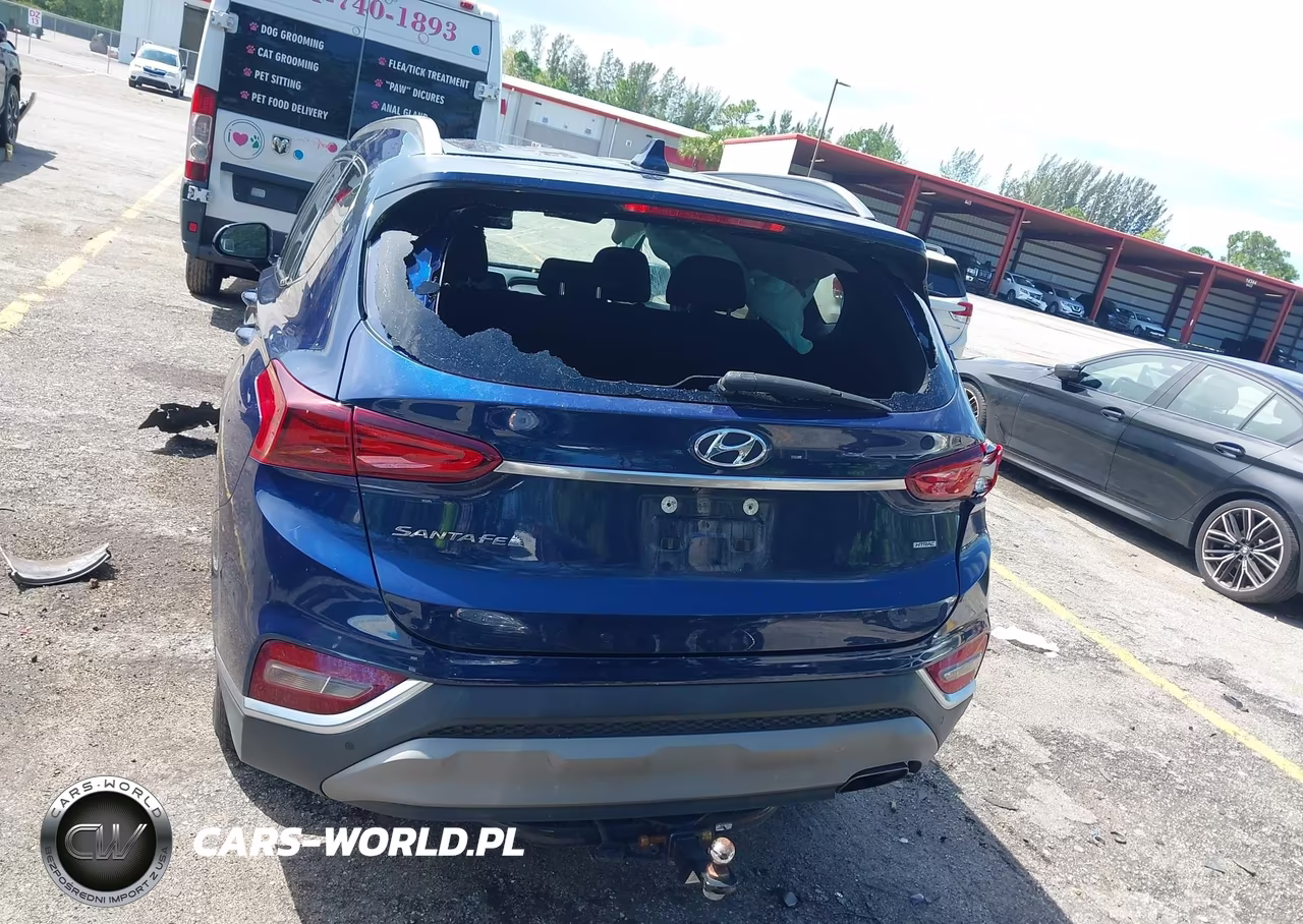 2020 Hyundai Santa Fe Sel VIN:5NMS3CAD5LH257873 - 17