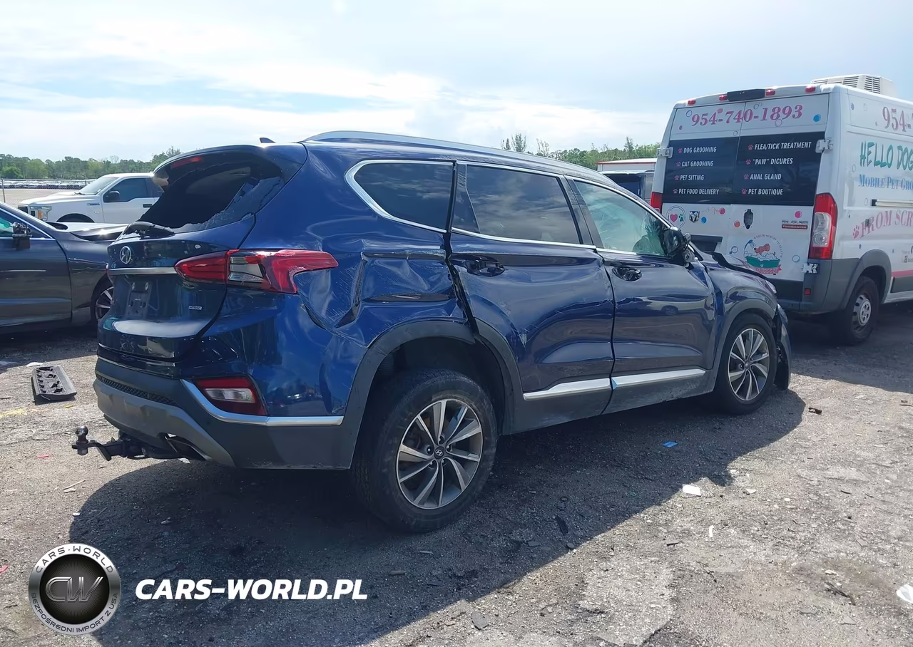 2020 Hyundai Santa Fe Sel VIN:5NMS3CAD5LH257873 - 4