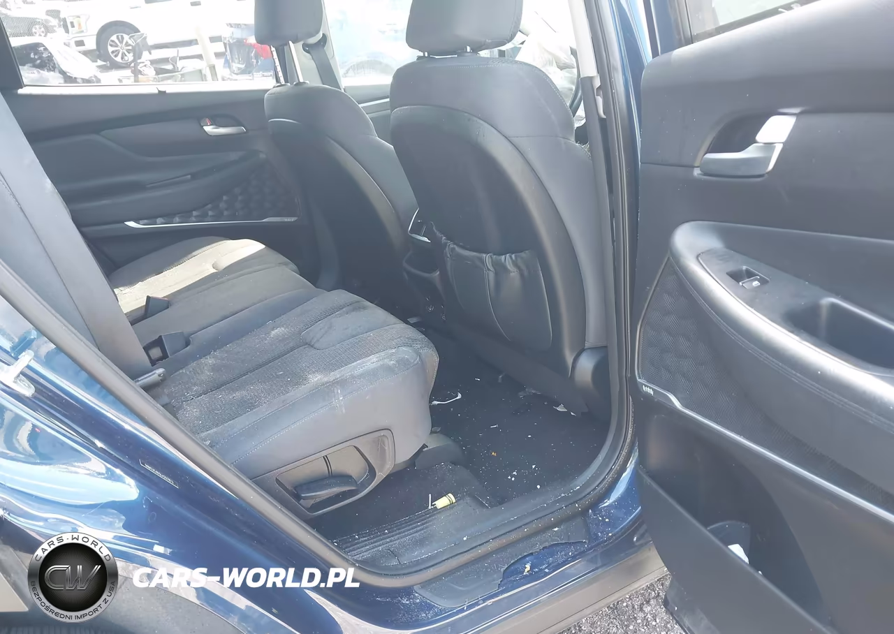 2020 Hyundai Santa Fe Sel VIN:5NMS3CAD5LH257873 - 8