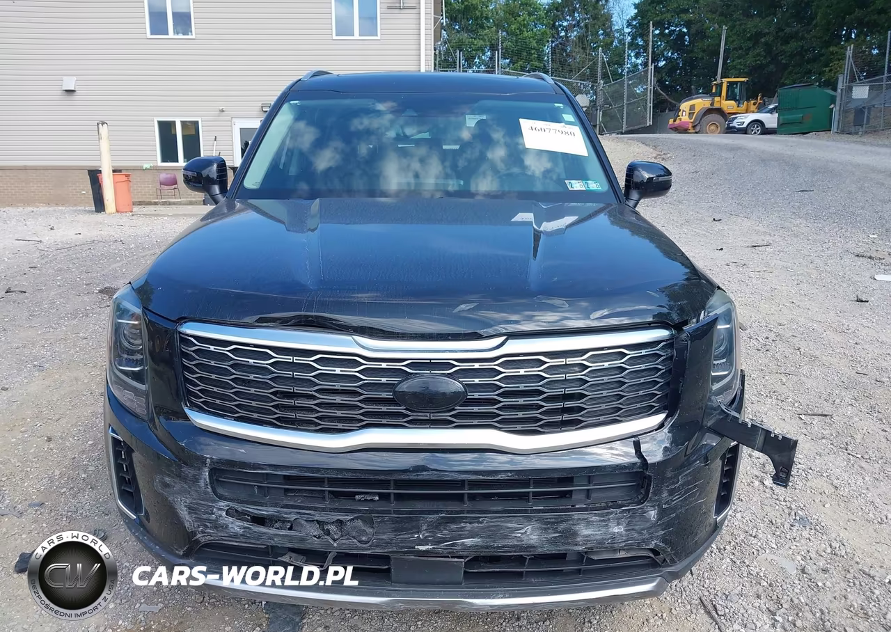 2020 Kia Telluride Ex VIN:5XYP3DHC4LG038227 - 12