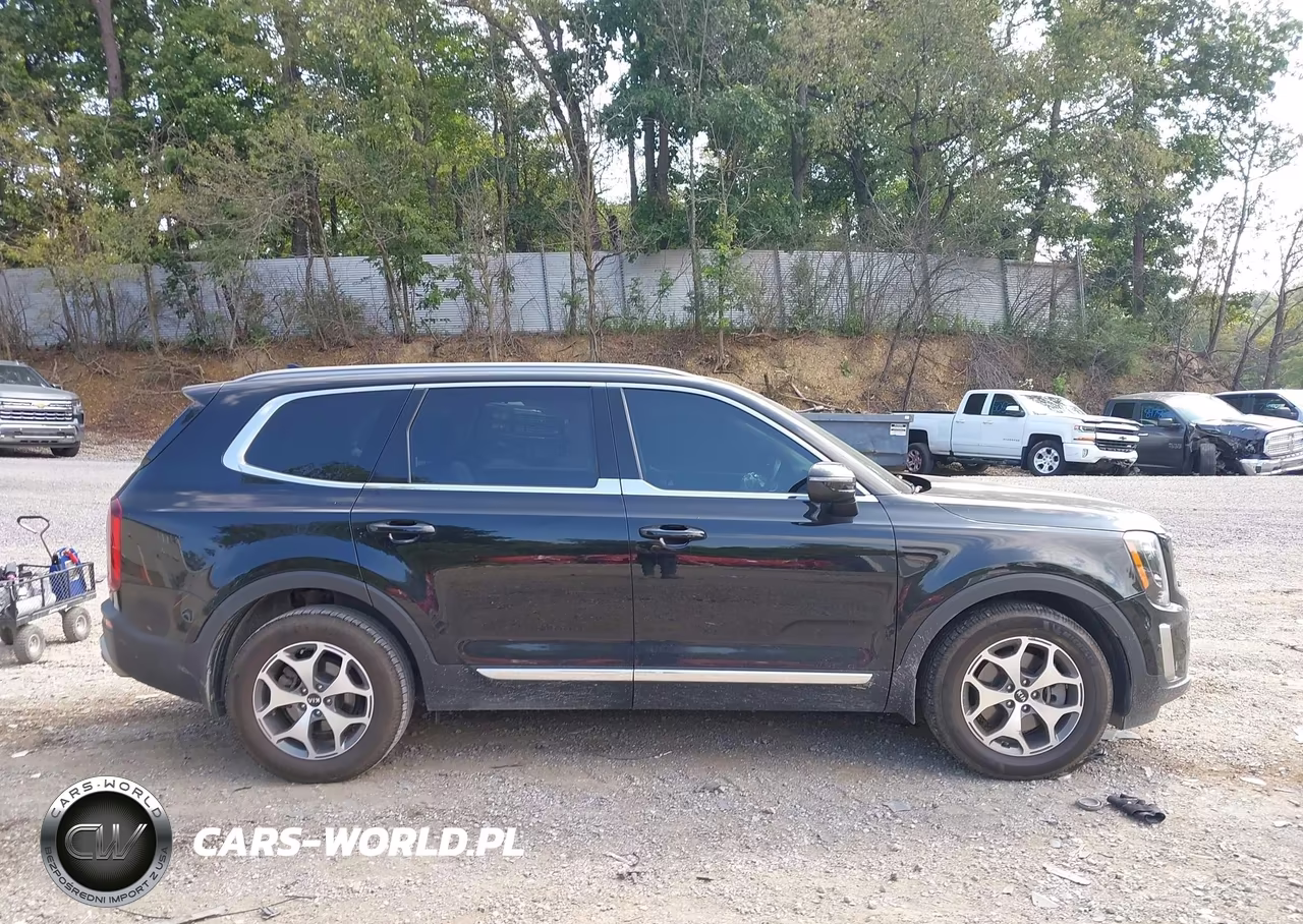 2020 Kia Telluride Ex VIN:5XYP3DHC4LG038227 - 13