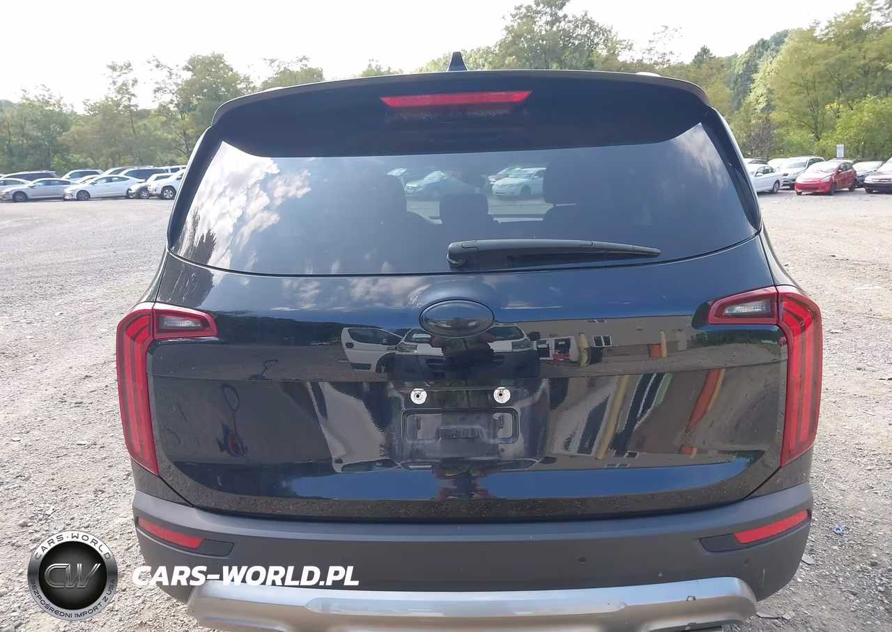 2020 Kia Telluride Ex VIN:5XYP3DHC4LG038227 - 16