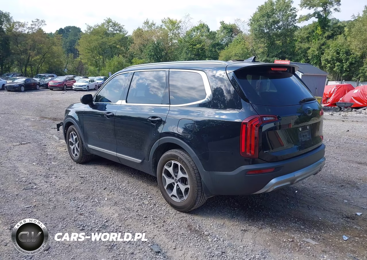 2020 Kia Telluride Ex VIN:5XYP3DHC4LG038227 - 3