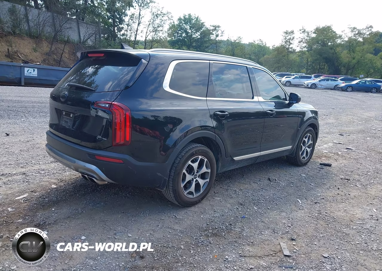 2020 Kia Telluride Ex VIN:5XYP3DHC4LG038227 - 4