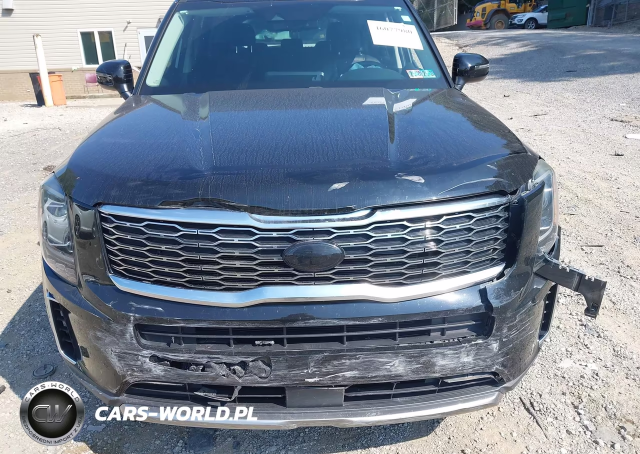 2020 Kia Telluride Ex VIN:5XYP3DHC4LG038227 - 6