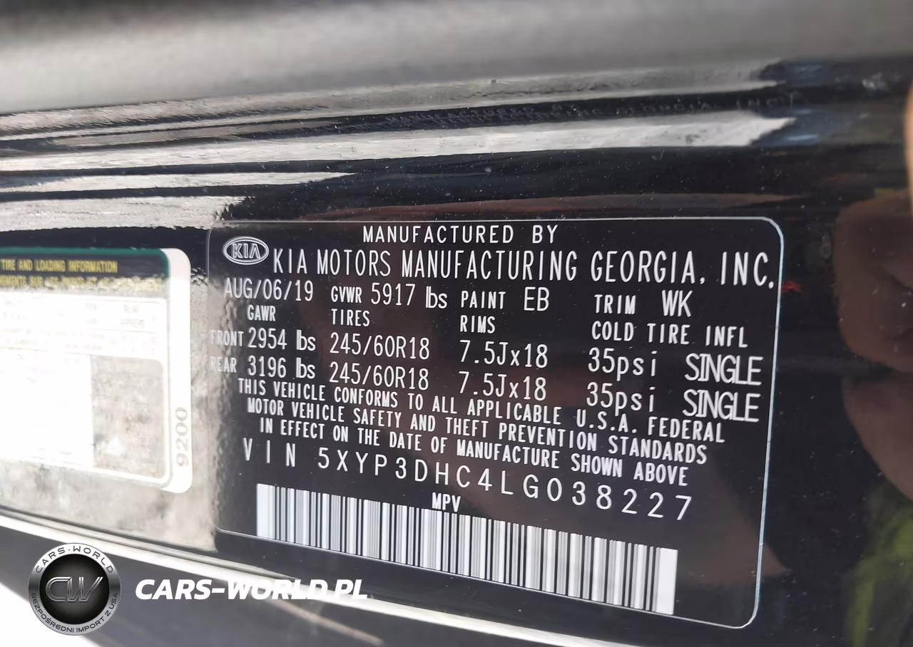 2020 Kia Telluride Ex VIN:5XYP3DHC4LG038227 - 9