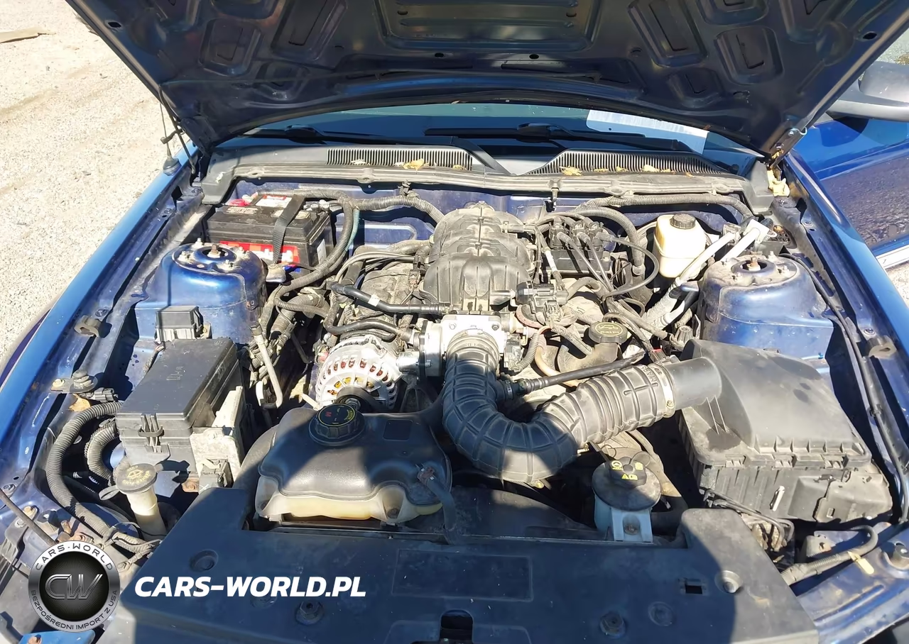 2008 Ford Mustang V6 Deluxe-V6 Premium VIN:1ZVHT80N485118973 - 10