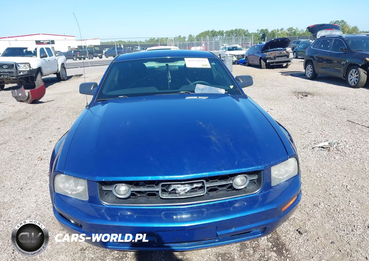 2008 Ford Mustang V6 Deluxe-V6 Premium VIN:1ZVHT80N485118973 - 12