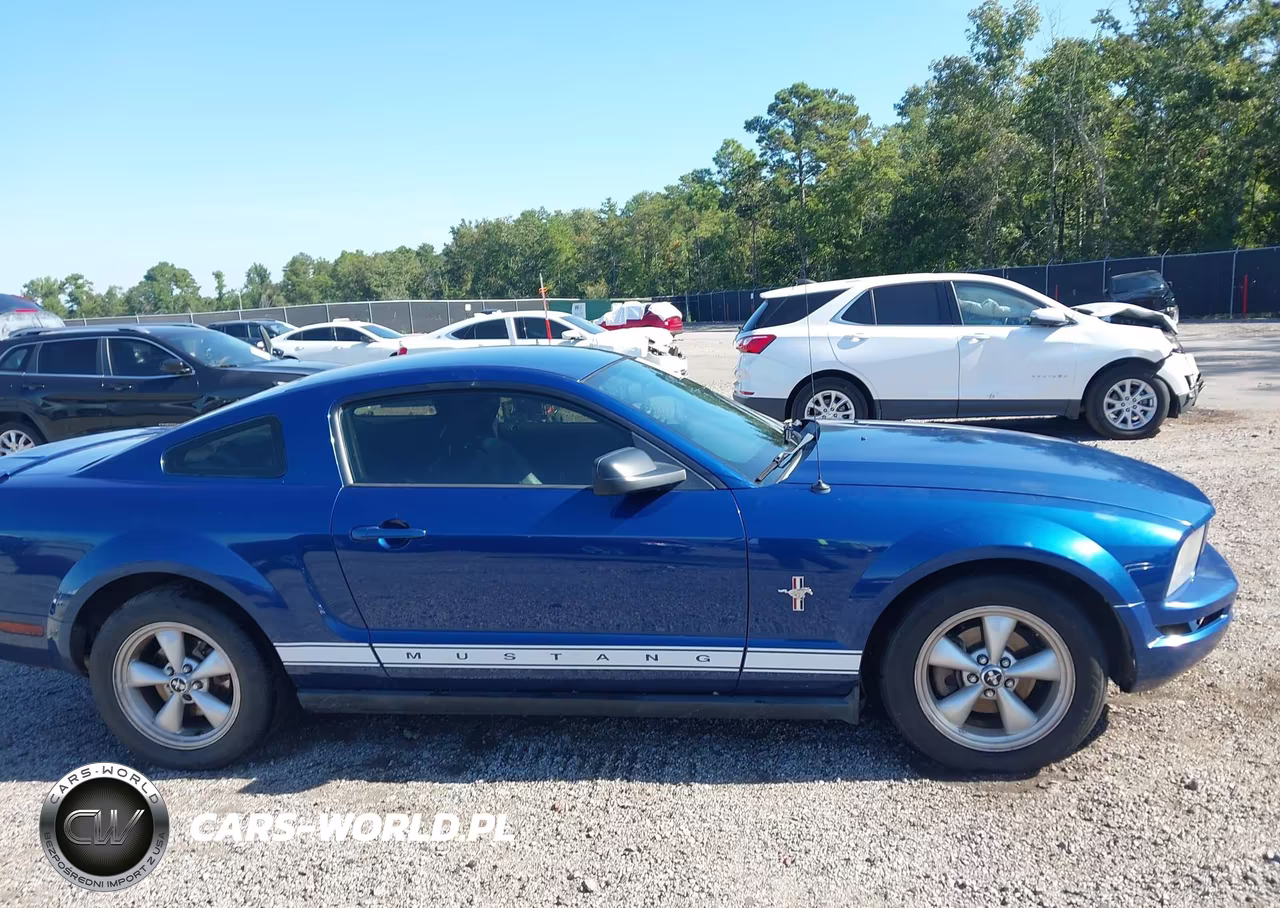 2008 Ford Mustang V6 Deluxe-V6 Premium VIN:1ZVHT80N485118973 - 13