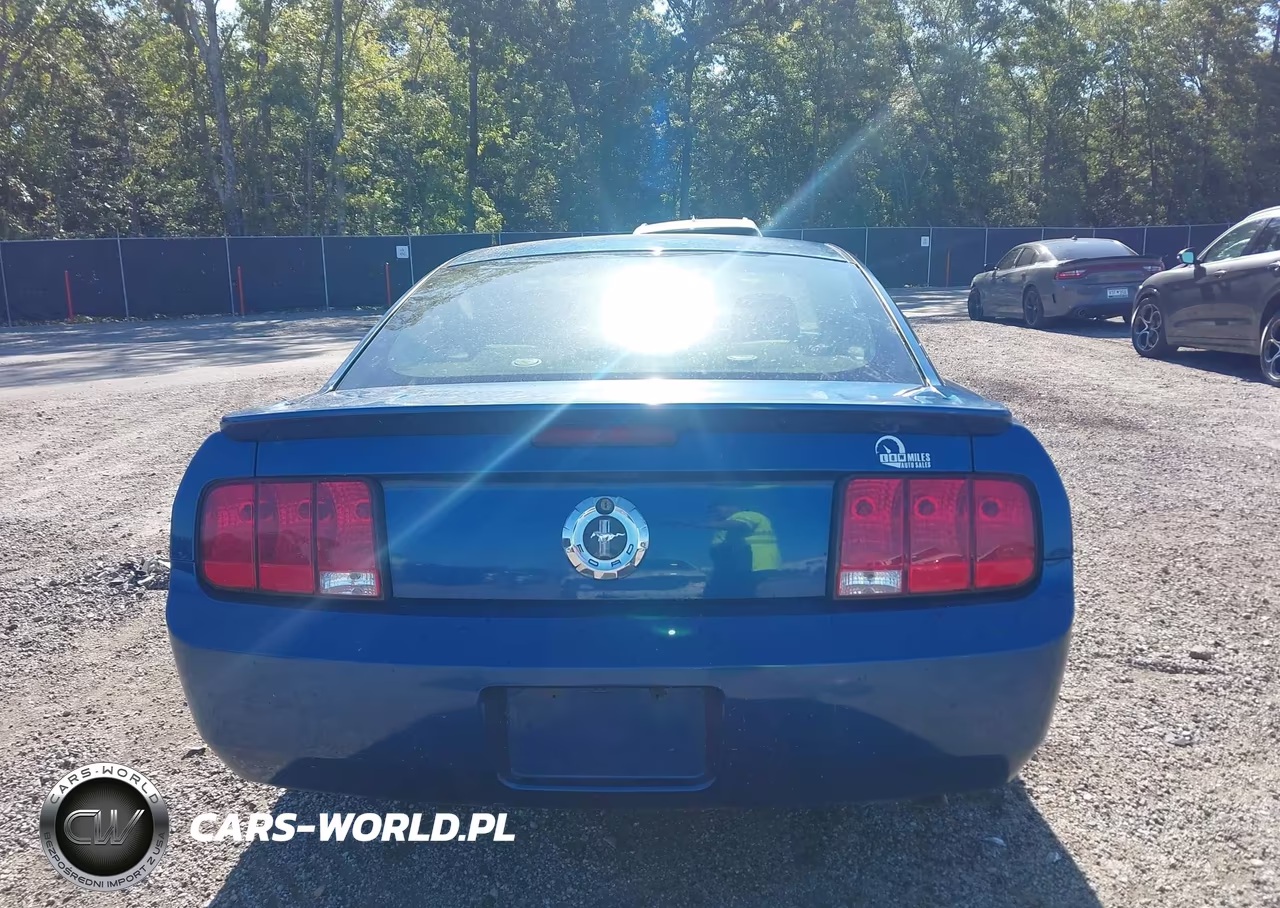 2008 Ford Mustang V6 Deluxe-V6 Premium VIN:1ZVHT80N485118973 - 16