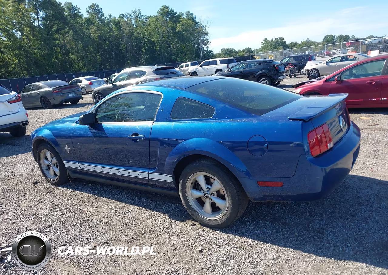 2008 Ford Mustang V6 Deluxe-V6 Premium VIN:1ZVHT80N485118973 - 3