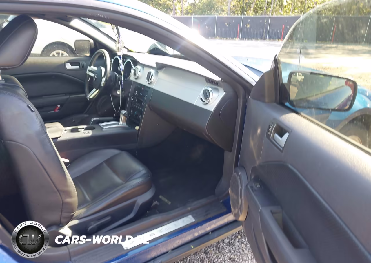 2008 Ford Mustang V6 Deluxe-V6 Premium VIN:1ZVHT80N485118973 - 5