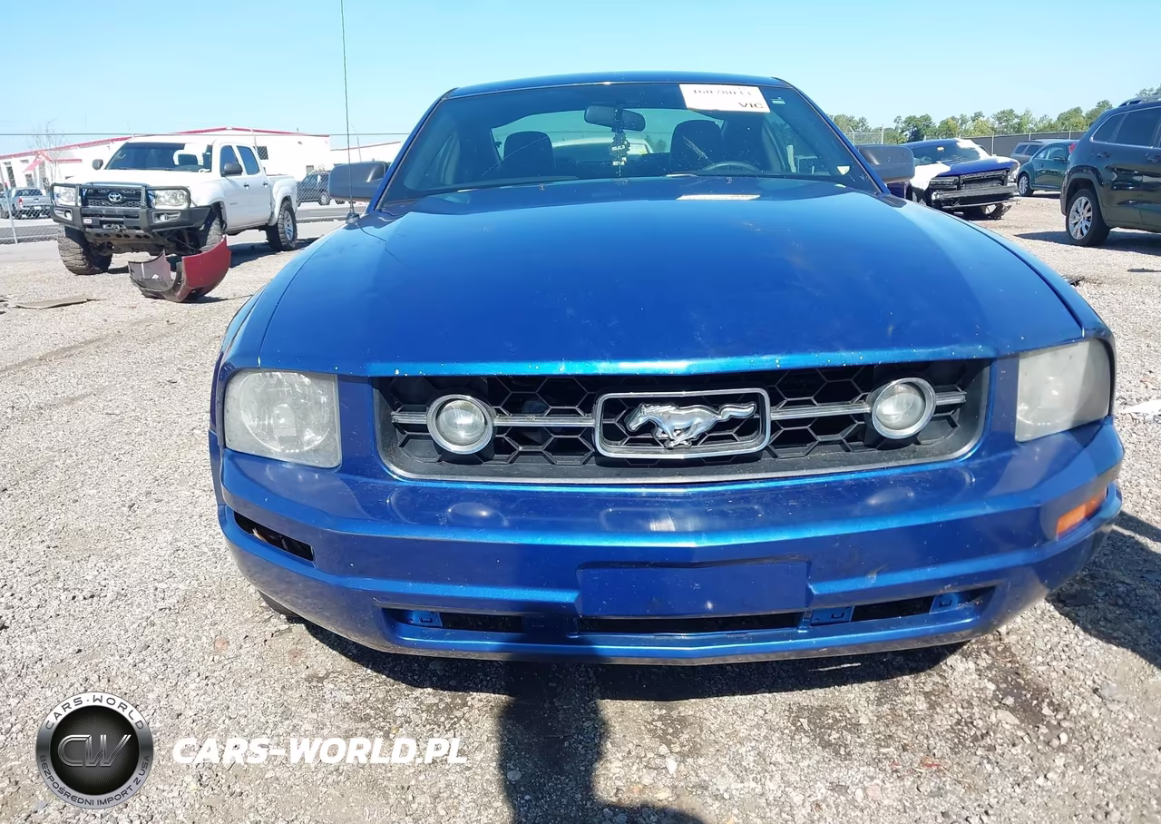 2008 Ford Mustang V6 Deluxe-V6 Premium VIN:1ZVHT80N485118973 - 6