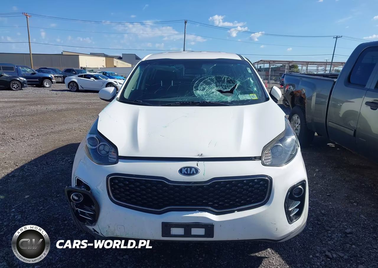 2019 Kia Sportage Lx VIN:KNDPMCAC0K7534140 - 12