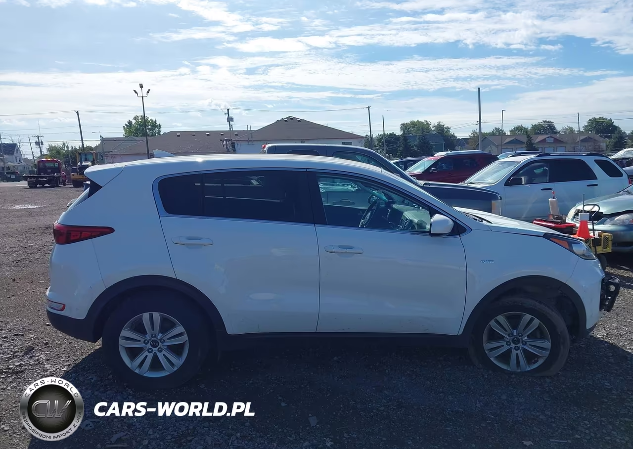 2019 Kia Sportage Lx VIN:KNDPMCAC0K7534140 - 13